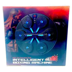 Настенный тренажёр для бокса (муз) STC-10